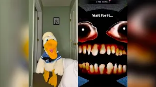 Donald Ducc REACTS To ANIMAL HOSPITAL TikToks! 8