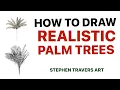 How to Draw Realistic Palm Trees
