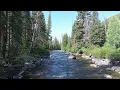 Flyfishing Upper Elk River Steamboat