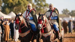 Fantasia Es-senia  Oran 5 فروسية, الخيالة السانية وهران  @Chants-et-danses-traditionnels@kadanzatv