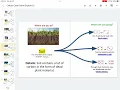 Carbon cycle game explore