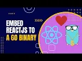 One of the coolest features of Go Embed ReactJS into a binary with Go