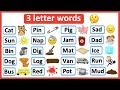 3 Letter Words List Phonics lesson Reading Lesson Learn with examples