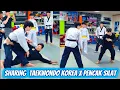 Download Lagu Sharing Pencak Silat x Taekwondo Korea Teknik Guntingan