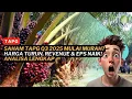 Saham TAPG Q3 2025 Mulai Murah? Harga Turun, Revenue \u0026 EPS Naik! Analisa Lengkap