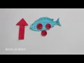 Bioaccumulation Biomagnification Increasingly Concentrated Problems