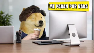 Conseguí el trabajo perfecto