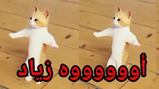  اغنية باسم  زياد الزين زياد  زياد السعودية الكويت تركيا العراق قطر البحرين الجزائر جدة جده الرياض دندنها