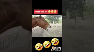 مقاطع مضحكة فرفشة ضحك 