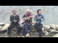 Download Lagu Malai yo jindagile chot diyo gani gani song with guitar