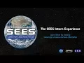 The SEES Intern Experience