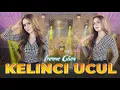 Download Lagu Irenne Ghea - Kelinci Ucul | Duta Nirwana Music [OFFICIAL]