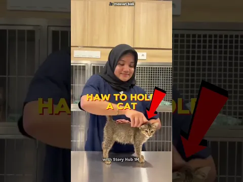 #bts
