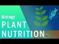 Plant Nutrition Plants Biology FuseSchool