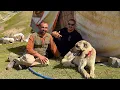 Download Lagu BİROL BAŞYİĞİTTEN YENİ ÇOBAN KÖPEĞİ