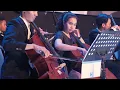 Lagu Bukan Cinta Biasa - Afgan and Erwin Gutawa (Instrument Cover by Steve Deaprof Orchestra)