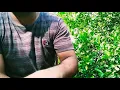 Lluvias De Mayo - Un León Marinero (DEMOSTRACIÓN/TUTORIAL?)