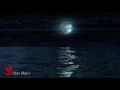 Beethoven Moonlight Sonata with Night Ocean Waves Sounds (2 hours)