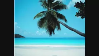 LL Cool J Feat Amerie Paradise Summer Remix 