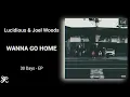 Download Lagu Lucidious \u0026 Joel Woods - Wanna Go Home