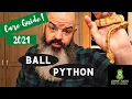 Ball Python Care for Beginners