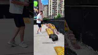                                                          دندنها