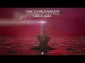 Craig Connelly & HALIENE - Other Side Of The World (Daxson Remix)