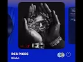 Ninho - DES PIGES (Version Skyrock)