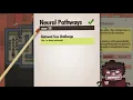 Neural Pathways 7 Billion Humans