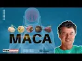 Download Lagu Maca
