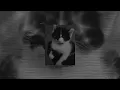 So Cold - Speed Up