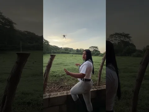 Vida de campo