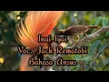Lagu Lagu_Daerah_Serui_Bahasa_Ansus_-_Iyai_Inani_-_Jack_Rematobi