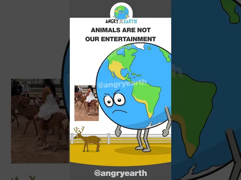Animals Are Not Our Entertainment