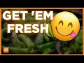 Fry s is roasting hatch green chiles right in the store Here s where to find them