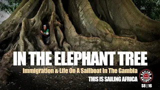 Navigating The Gambia: Clearing Customs, Monkey Thieves & An Inside A 850-Year-Old Tree | S8E16