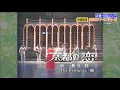 京都の恋 - 渚ゆう子＆ザ・ベンチャーズ