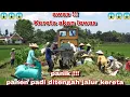 Download Lagu Melewati perempatan rel hingga terhalang petani sedang panen padi di tengah rel || PG Semboro