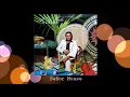 Al Di Meola - Señor Mouse ℗ 1978