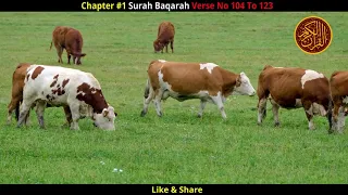 quran translation in urdu short clips status