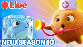  sunny bunnies live brand new season 10 episodes funny cartoons for kids