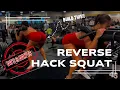 Reverse Hack Squats Don t try these without watching THIS first