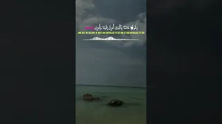 ولا تجادلوا اهل الكتاب الا بالتي هي احسن عبدالرحمن مسعد Quran قران 