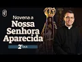 Download Lagu 2º dia - Novena a Nossa Senhora da Conceição Aparecida
