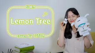 21학번 이 부르는 박혜경 Lemon Tree COVER 
