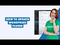 How to Update WordPress Plugin
