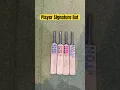 SS Mini Bat Player Signature ✍️ #cricket #batreview #cricketequipment #cricketgear #cricketbat #wood