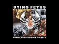 Download Lagu Dying Fetus Skull Fucked