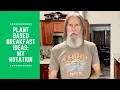 Lagu Plant Based Breakfast Ideas: My Rotation