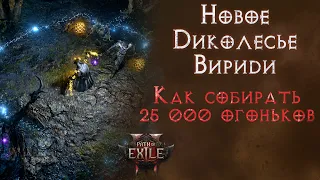 Простым языком про Диколесье Вириди. Path of Exile 2